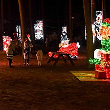 Galeria - Lumina Park w Myślęcinku, 23 października 2024 r./fot. własne