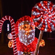 Galeria - Lumina Park w Myślęcinku, 23 października 2024 r./fot. własne