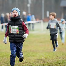 Galeria - Biegi CITY TRAIL  Bydgoszcz, 1 grudnia 2024 r./fot. Tomasz Czachorowski