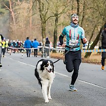 Galeria - Biegi CITY TRAIL  Bydgoszcz, 1 grudnia 2024 r./fot. Tomasz Czachorowski