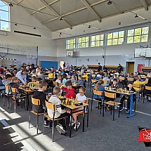 Galeria - 