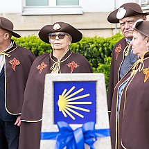 Galeria - 