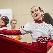 Galeria - fot. Szymon Zdziebło tarantoga.pl dla UMWKP