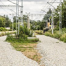 Galeria - fot. Andrzej Goiński/UMWKP