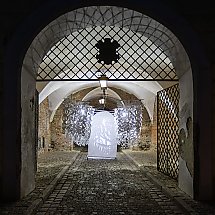 Galeria - fot. Szymon Zdziebło/tarantpoga.pl dla UMWKP