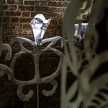 Galeria - fot. Szymon Zdziebło/tarantpoga.pl dla UMWKP
