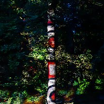 Galeria - fot. Szymon Zdziebło/tarantpoga.pl dla UMWKP