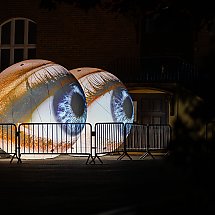 Galeria - fot. Szymon Zdziebło/tarantpoga.pl dla UMWKP