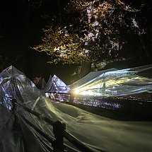 Galeria - fot. Szymon Zdziebło/tarantpoga.pl dla UMWKP