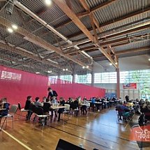 Galeria - 