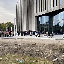 Galeria - 