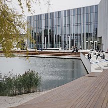 Galeria - 