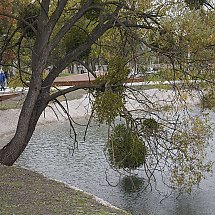 Galeria - 