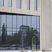 Galeria - 