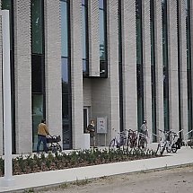 Galeria - 