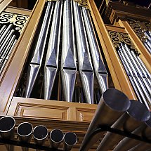 Galeria - 