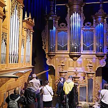 Galeria - 