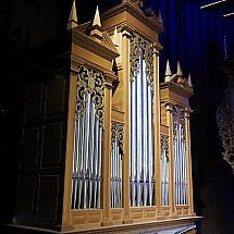 Galeria - 