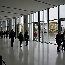 Galeria - 