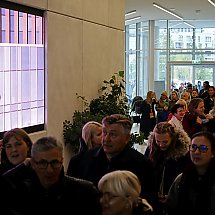 Galeria - 
