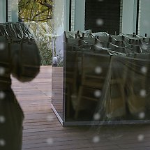 Galeria - 