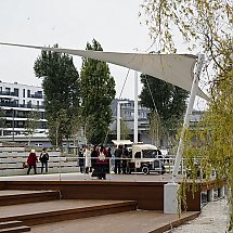 Galeria - 