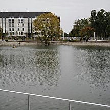 Galeria - 