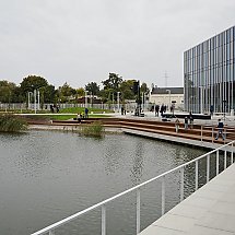 Galeria - 