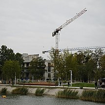 Galeria - 
