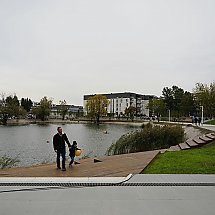 Galeria - 