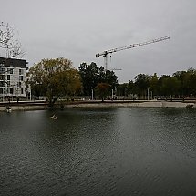 Galeria - 