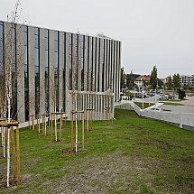Galeria - 