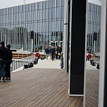Galeria - 