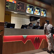 Galeria - 