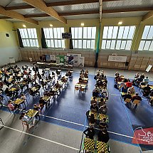 Galeria - 