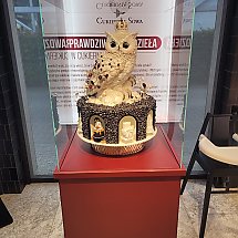 Galeria - 