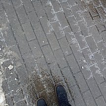 Galeria - Fot. Własne 