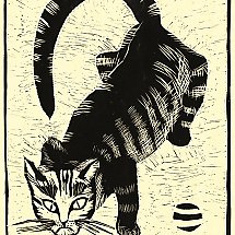 Galeria - fot. nadesłane/ 