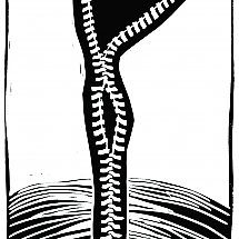 Galeria - fot. nadesłane/ 