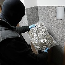 Galeria - fot. policja