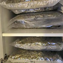 Galeria - fot. policja