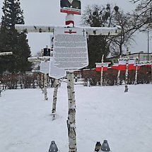 Galeria - fot. nadesłane