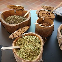 Galeria - fot. facebook MOB