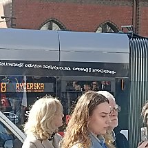 Galeria - fot. własne