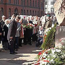 Galeria - fot. własne