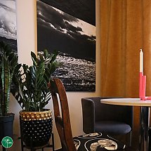 Galeria - fot. Facebook/Cafe Flore