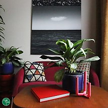 Galeria - fot. Facebook/Cafe Flore