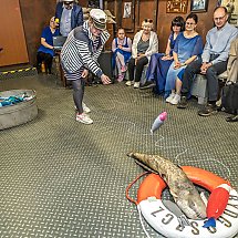 Galeria - fot. nadesłane
