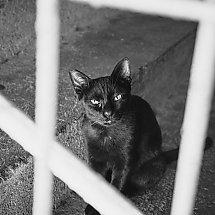 Galeria - fot. nadesłane (Jakub Kaja „Ślady miasta”)