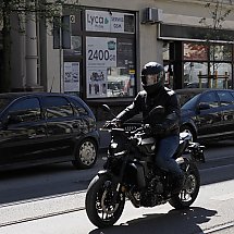 Galeria - 